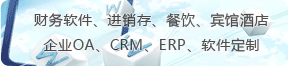軟件正需求定制與開發(fā)